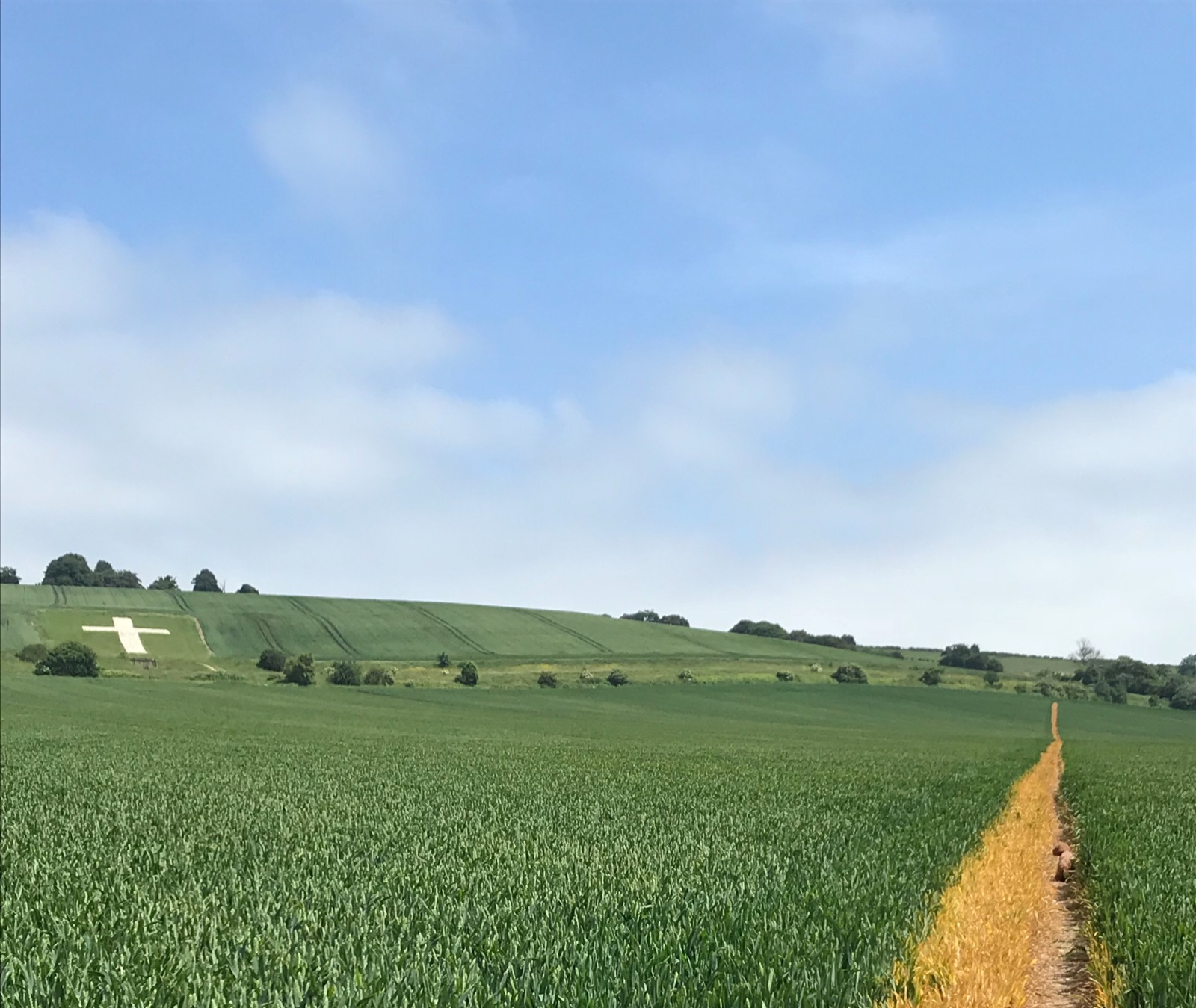 View towards Lenham Cross